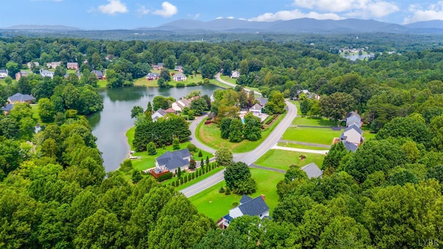 2307 Graves Mill Rd, Forest, VA 24551 - photo 4
