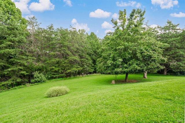 1500 Glenbrooke Dr, Lynchburg, VA 24503 - photo 45