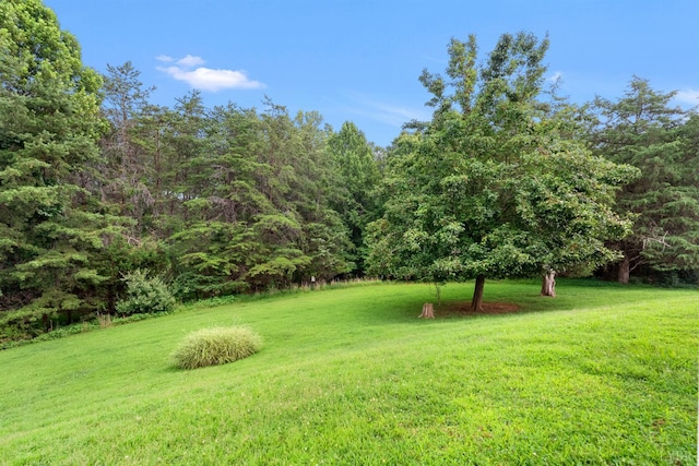1500 Glenbrooke Dr, Lynchburg, VA 24503 - photo 29