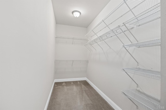 1500 Glenbrooke Dr, Lynchburg, VA 24503 - photo 20
