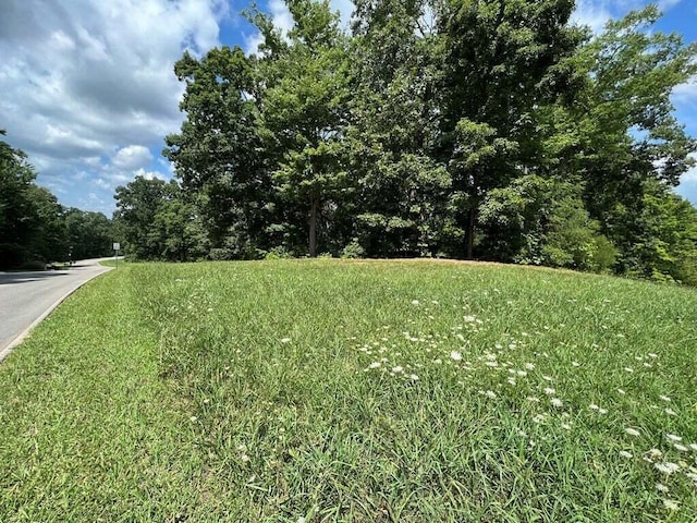1975 Turners Landing Rd, Russellville, TN 37860 - photo 7