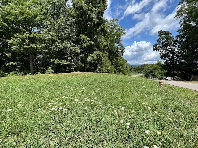 1975 Turners Landing Rd, Russellville, TN 37860 - photo 6