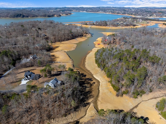 LOT13 Cove Springs Dr, Dandridge TN, 37725 land for sale