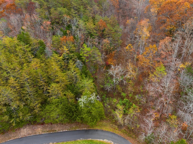 0 Broken Valley Rd, Thorn Hill, TN 37881