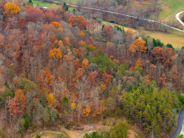 0 Broken Valley Rd, Thorn Hill, TN 37881