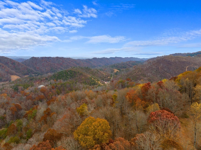 0 Broken Valley Rd, Thorn Hill, TN 37881