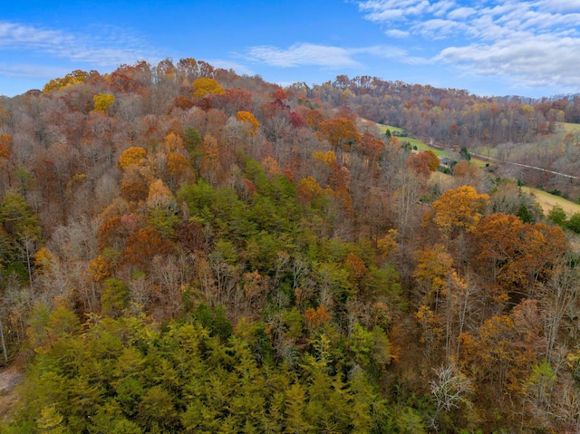 0 Broken Valley Rd, Thorn Hill, TN 37881