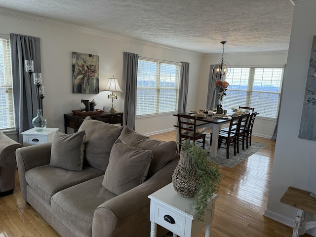 living room featuring a wealth of natural light, a textured ceiling, and light wood-type flooring