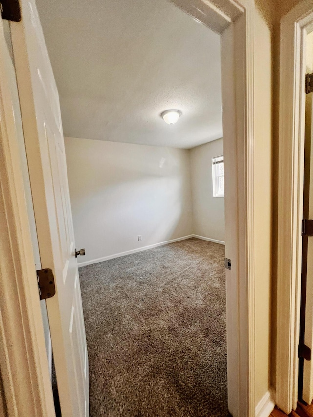 spare room with carpet floors