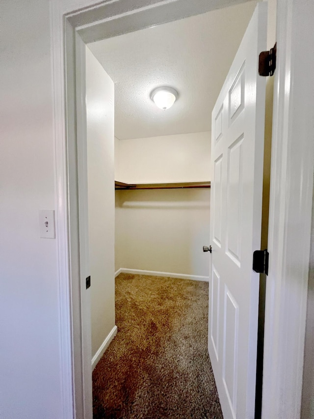 walk in closet featuring carpet