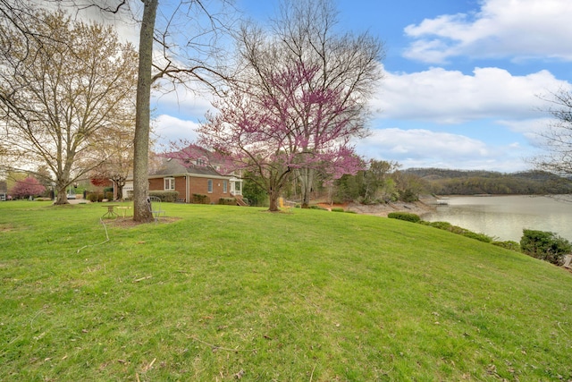 471 Chelaque Way, Mooresburg, TN 37811 - photo 8