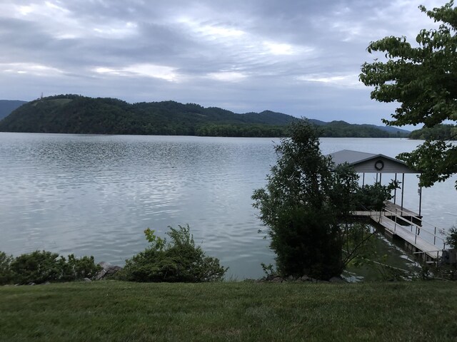 471 Chelaque Way, Mooresburg, TN 37811 - photo 62