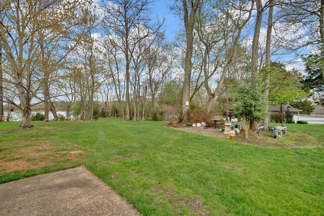 471 Chelaque Way, Mooresburg, TN 37811 - photo 11