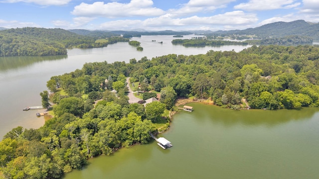 471 Chelaque Way, Mooresburg, TN 37811 - photo 74