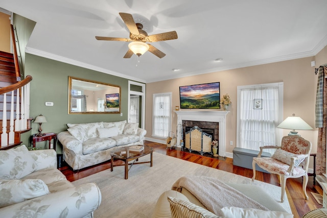 living area featuring crown molding, stairs, a fireplace, ceiling fan, and wood finished floors