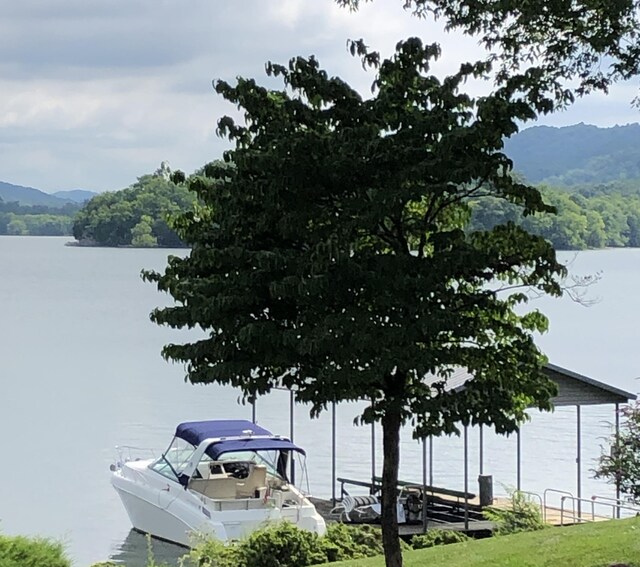 water view with a mountain view, a view of trees, and a dock