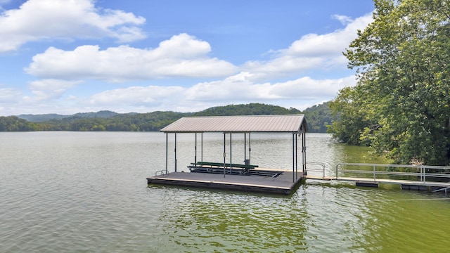 471 Chelaque Way, Mooresburg, TN 37811 - photo 72
