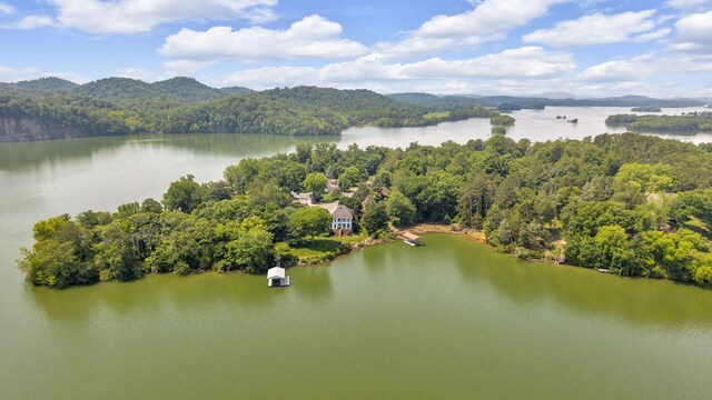 471 Chelaque Way, Mooresburg, TN 37811 - photo 75