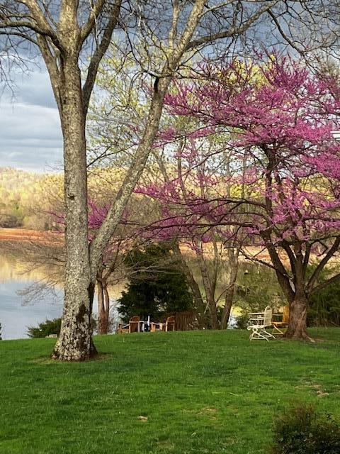 view of home's community featuring a water view and a yard