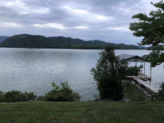 471 Chelaque Way, Mooresburg, TN 37811 - photo 63