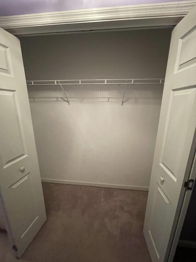 view of closet