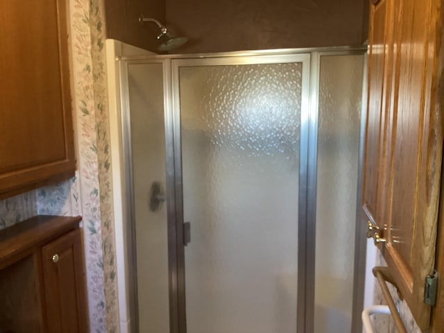 bathroom featuring a shower with shower door