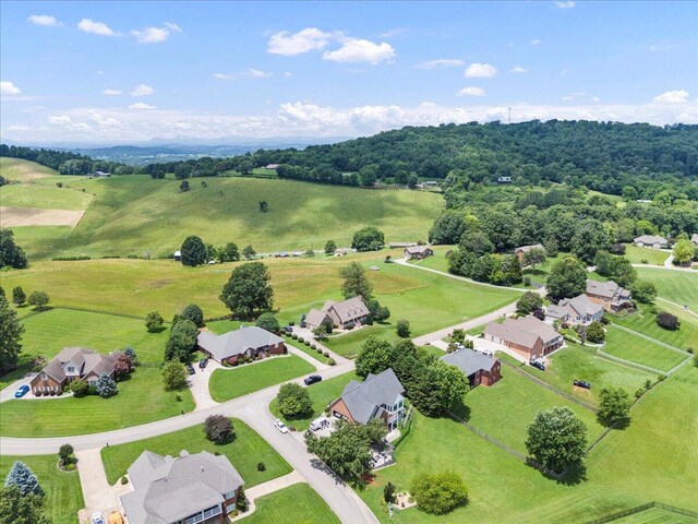 397 Independence Dr, Jefferson City, TN 37760 - photo 49