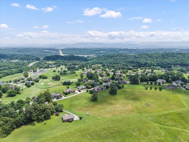 397 Independence Dr, Jefferson City, TN 37760 - photo 52