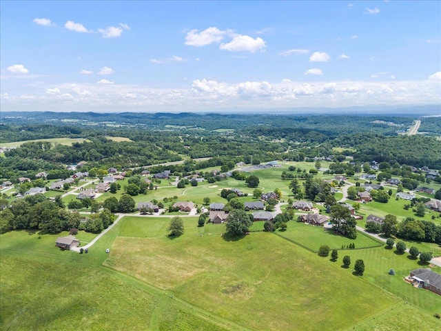 397 Independence Dr, Jefferson City, TN 37760 - photo 54