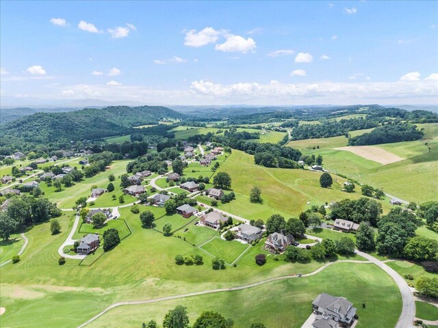 397 Independence Dr, Jefferson City, TN 37760 - photo 48