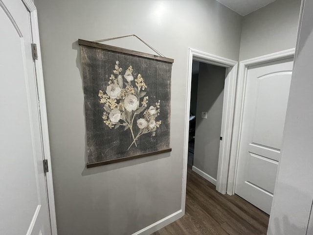 hallway with dark hardwood / wood-style flooring