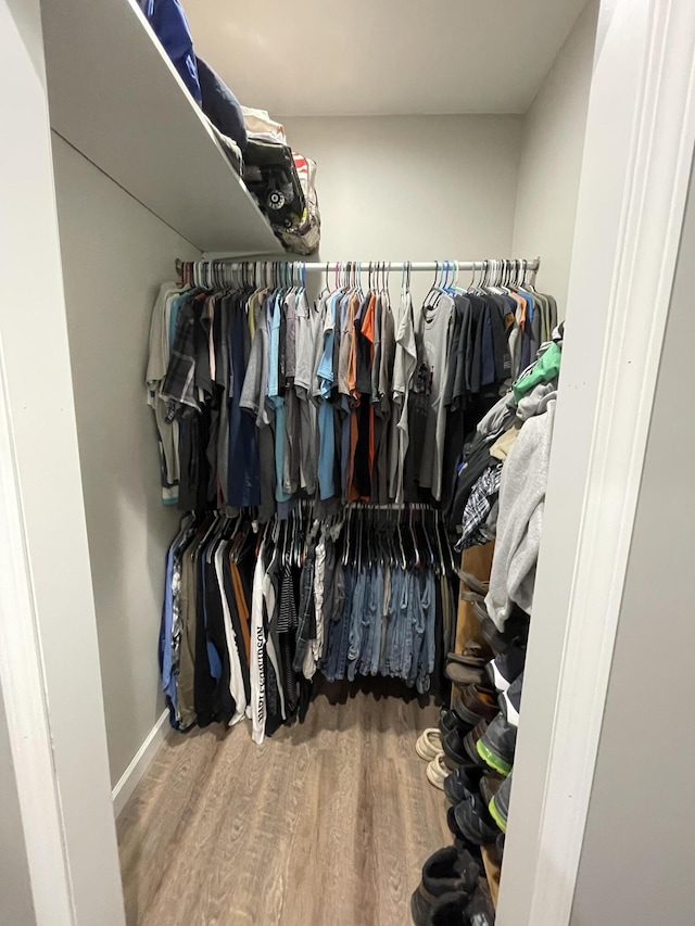 spacious closet with hardwood / wood-style floors