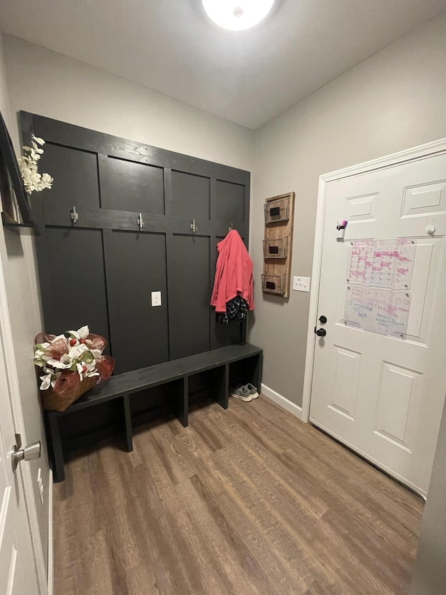 mudroom featuring wood-type flooring