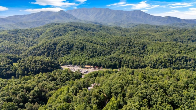 345 Gatlin Dr, Gatlinburg, TN 37738 - photo 41