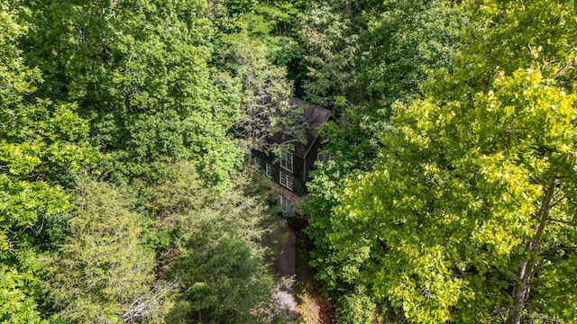 345 Gatlin Dr, Gatlinburg, TN 37738 - photo 37