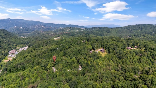 345 Gatlin Dr, Gatlinburg, TN 37738 - photo 38