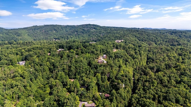 345 Gatlin Dr, Gatlinburg, TN 37738 - photo 39