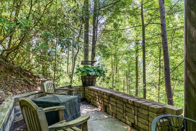 345 Gatlin Dr, Gatlinburg, TN 37738 - photo 31