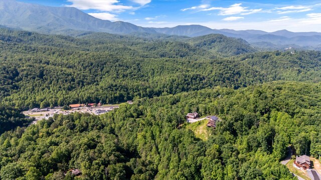 345 Gatlin Dr, Gatlinburg, TN 37738 - photo 40
