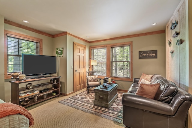 345 Gatlin Dr, Gatlinburg, TN 37738 - photo 26