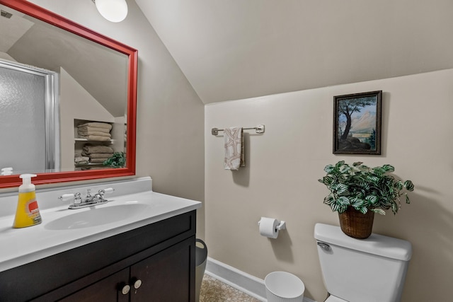 3004 Vine St, White Pine, TN 37890 - full bathroom featuring vaulted ceiling, vanity, and a shower with door
