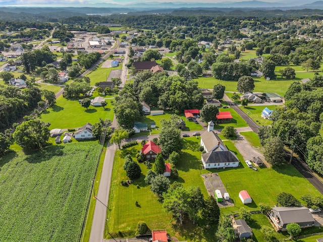 3004 Vine St, White Pine, TN 37890 - aerial perspective of suburban area