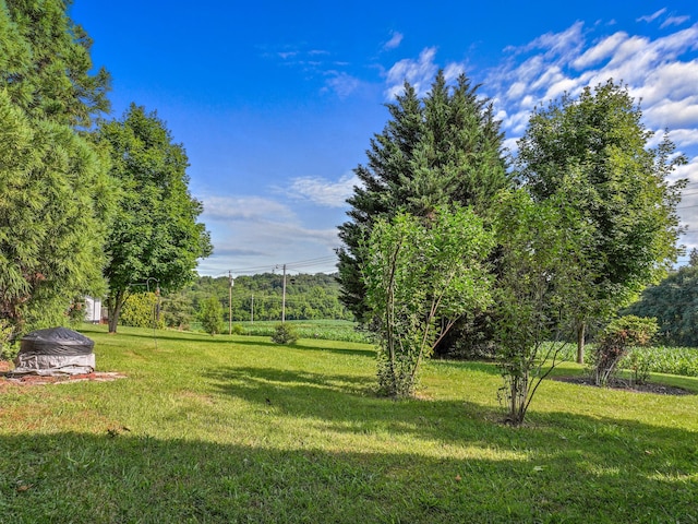 3004 Vine St, White Pine, TN 37890 - view of green lawn