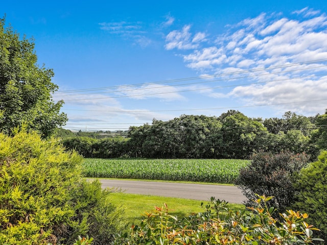 3004 Vine St, White Pine, TN 37890 - view of asphalt road with agricultural plots and a view of rural / pastoral area