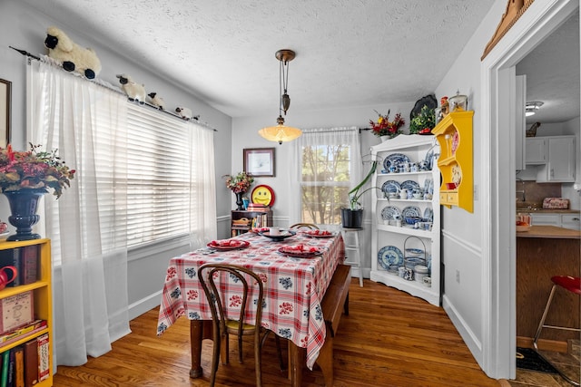 3004 Vine St, White Pine, TN 37890 - dining space featuring wood finished floors and a textured ceiling