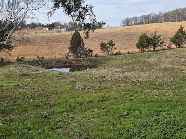 view of yard with a rural view