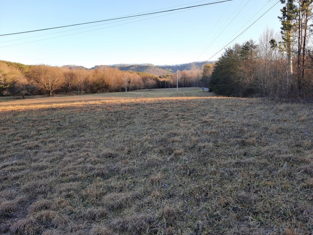 Listing photo 2 for 3701 Sane Rd, Parrottsville TN 37843