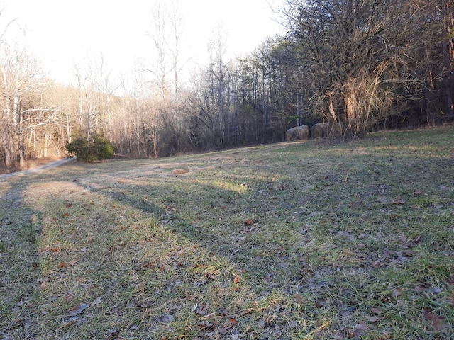 3701 Sane Rd, Parrottsville TN, 37843 land for sale