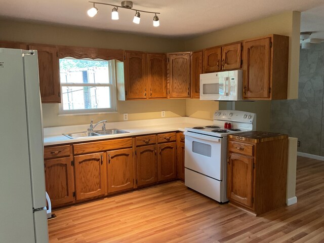 2324 Johnsons Ridge Rd, Sneedville, TN 37869 - photo 15