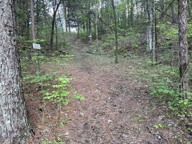 2324 Johnsons Ridge Rd, Sneedville, TN 37869 - photo 37